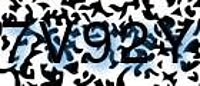 grafischer Sicherheitscode