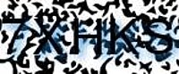 grafischer Sicherheitscode