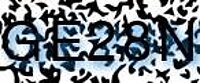 grafischer Sicherheitscode