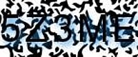 grafischer Sicherheitscode