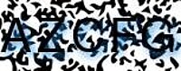 grafischer Sicherheitscode