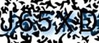 grafischer Sicherheitscode
