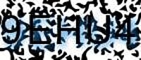 grafischer Sicherheitscode
