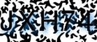 grafischer Sicherheitscode