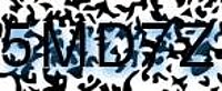grafischer Sicherheitscode