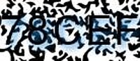 grafischer Sicherheitscode
