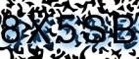 grafischer Sicherheitscode