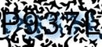 grafischer Sicherheitscode