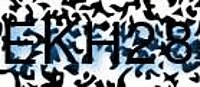 grafischer Sicherheitscode