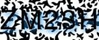grafischer Sicherheitscode