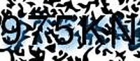 grafischer Sicherheitscode
