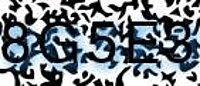 grafischer Sicherheitscode