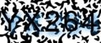 grafischer Sicherheitscode