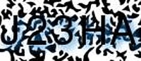 grafischer Sicherheitscode
