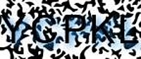 grafischer Sicherheitscode