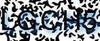 grafischer Sicherheitscode