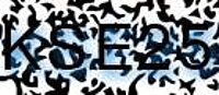 grafischer Sicherheitscode