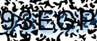 grafischer Sicherheitscode