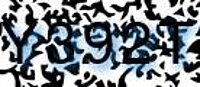 grafischer Sicherheitscode