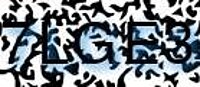 grafischer Sicherheitscode