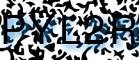 grafischer Sicherheitscode