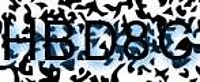 grafischer Sicherheitscode