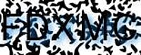 grafischer Sicherheitscode