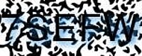 grafischer Sicherheitscode