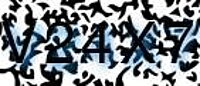 grafischer Sicherheitscode