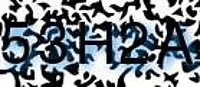 grafischer Sicherheitscode