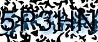 grafischer Sicherheitscode