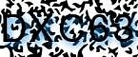 grafischer Sicherheitscode