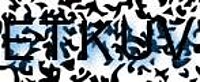 grafischer Sicherheitscode