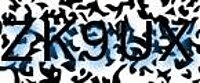 grafischer Sicherheitscode