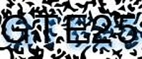 grafischer Sicherheitscode