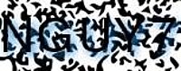 grafischer Sicherheitscode