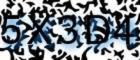 grafischer Sicherheitscode