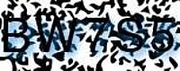 grafischer Sicherheitscode