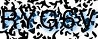 grafischer Sicherheitscode
