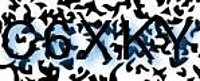 grafischer Sicherheitscode