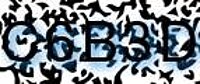 grafischer Sicherheitscode