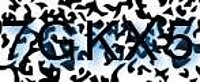 grafischer Sicherheitscode