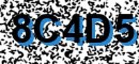 grafischer Sicherheitscode