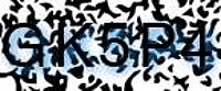 grafischer Sicherheitscode