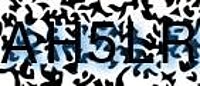 grafischer Sicherheitscode