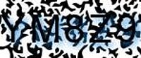 grafischer Sicherheitscode