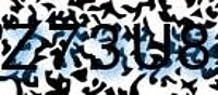 grafischer Sicherheitscode