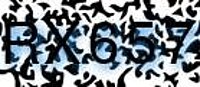 grafischer Sicherheitscode