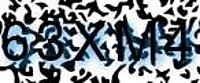 grafischer Sicherheitscode