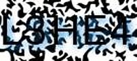grafischer Sicherheitscode